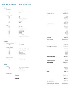 E-Max ERP Balance Sheet example