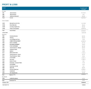 E-Max ERP P&L YTD