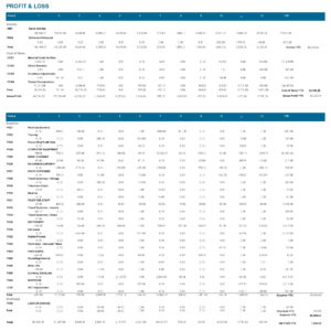 E-Max Profit & Loss screen by month