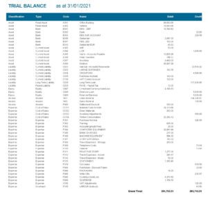 E-Max ERP Trial Balance example