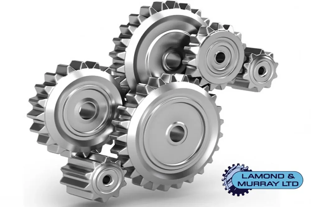 Using ERP to make the right decisions  Lamond &amp; Murray case study